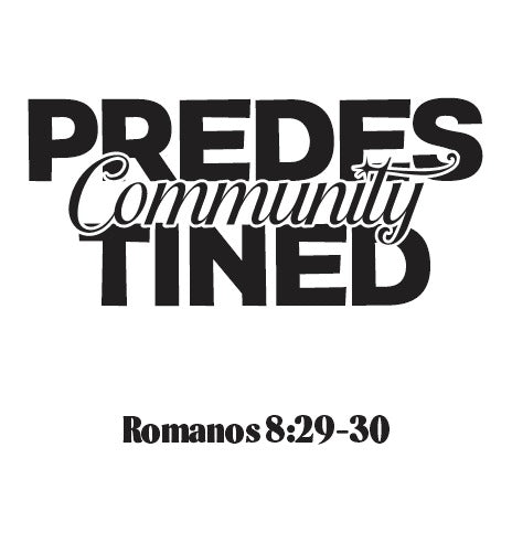 Sudadera Predestined Community